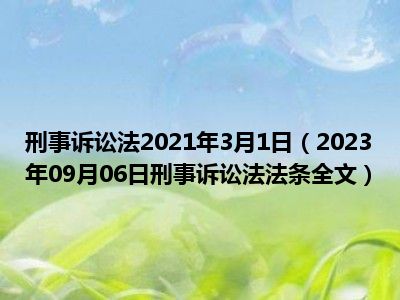 刑事诉讼法2021年3月1日（2023年09月06日刑事诉讼法法条全文）