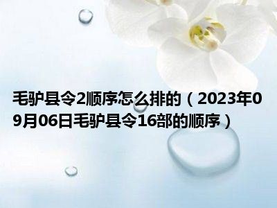 毛驴县令2顺序怎么排的（2023年09月06日毛驴县令16部的顺序）