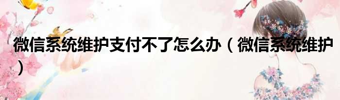 微信系统维护支付不了怎么办（微信系统维护）