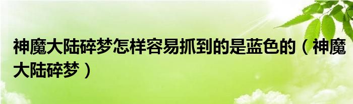  神魔大陆碎梦怎样容易抓到的是蓝色的（神魔大陆碎梦）