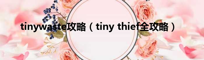 tinywaste攻略（tiny thief全攻略）