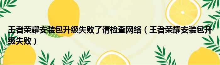 王者荣耀安装包升级失败了请检查网络（王者荣耀安装包升级失败）