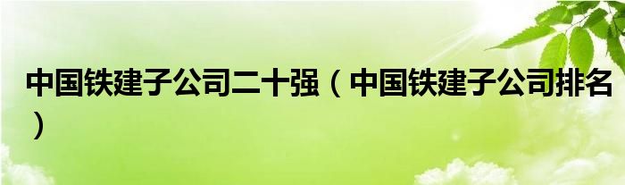  中国铁建子公司二十强（中国铁建子公司排名）