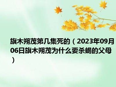 旗木朔茂第几集死的（2023年09月06日旗木朔茂为什么要杀蝎的父母）