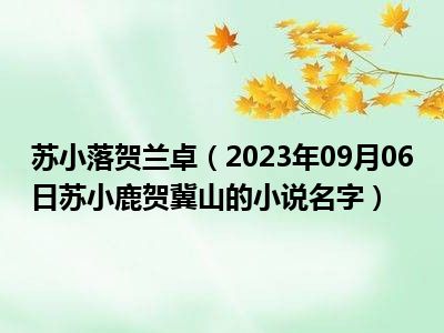 苏小落贺兰卓（2023年09月06日苏小鹿贺冀山的小说名字）