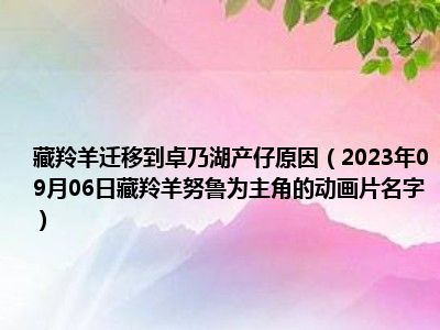 藏羚羊迁移到卓乃湖产仔原因（2023年09月06日藏羚羊努鲁为主角的动画片名字）