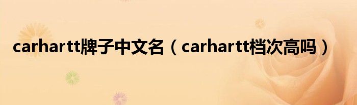  carhartt牌子中文名（carhartt档次高吗）