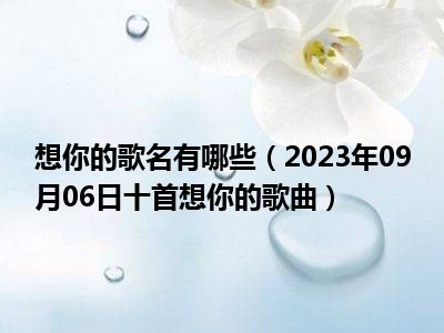 想你的歌名有哪些（2023年09月06日十首想你的歌曲）