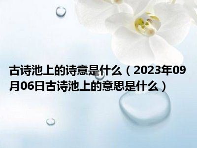 古诗池上的诗意是什么（2023年09月06日古诗池上的意思是什么）