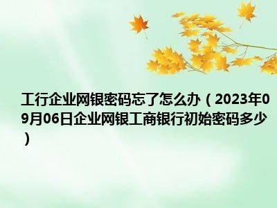 工行企业网银密码忘了怎么办（2023年09月06日企业网银工商银行初始密码多少）