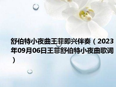 舒伯特小夜曲王菲即兴伴奏（2023年09月06日王菲舒伯特小夜曲歌词）