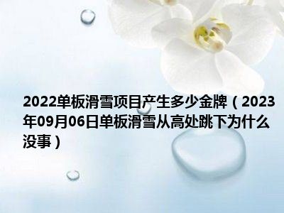 2022单板滑雪项目产生多少金牌（2023年09月06日单板滑雪从高处跳下为什么没事）