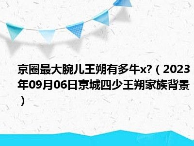 京圈最大腕儿王朔有多牛x （2023年09月06日京城四少王朔家族背景）