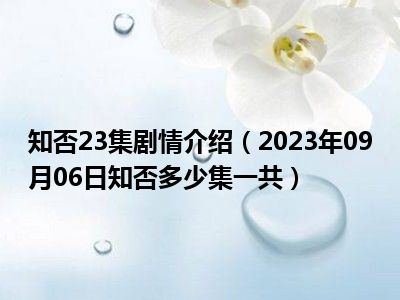 知否23集剧情介绍（2023年09月06日知否多少集一共）