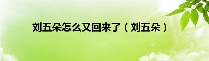  刘五朵怎么又回来了（刘五朵）