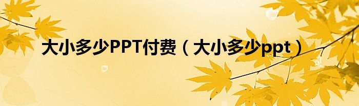  大小多少PPT付费（大小多少ppt）