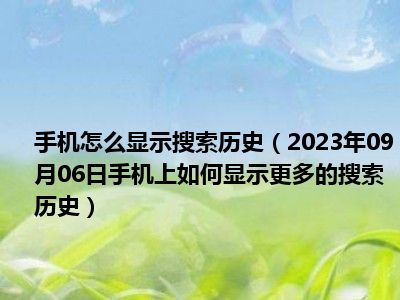 手机怎么显示搜索历史（2023年09月06日手机上如何显示更多的搜索历史）