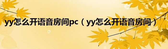  yy怎么开语音房间pc（yy怎么开语音房间）