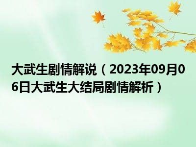 大武生剧情解说（2023年09月06日大武生大结局剧情解析）