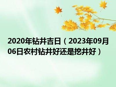 2020年钻井吉日（2023年09月06日农村钻井好还是挖井好）