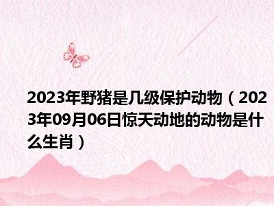 2023年野猪是几级保护动物（2023年09月06日惊天动地的动物是什么生肖）