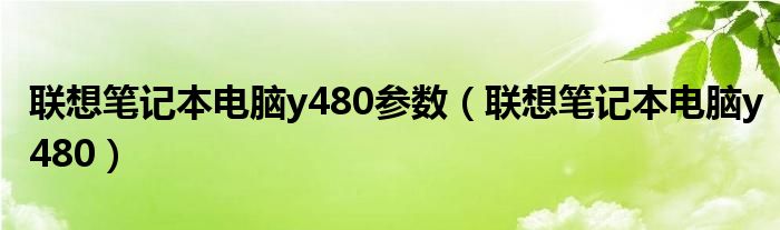  联想笔记本电脑y480参数（联想笔记本电脑y480）