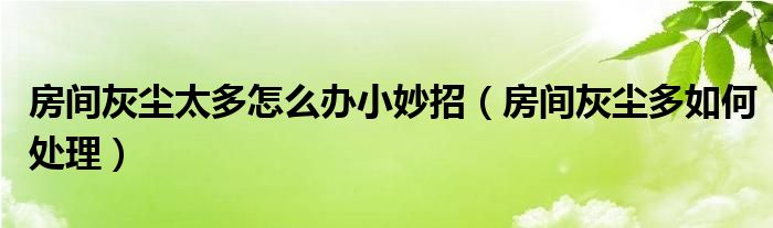  房间灰尘太多怎么办小妙招（房间灰尘多如何处理）