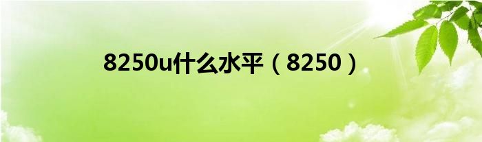  8250u什么水平（8250）