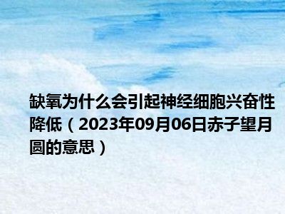 缺氧为什么会引起神经细胞兴奋性降低（2023年09月06日赤子望月圆的意思）