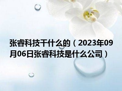 张睿科技干什么的（2023年09月06日张睿科技是什么公司）