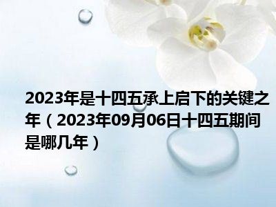 2023年是十四五承上启下的关键之年（2023年09月06日十四五期间是哪几年）