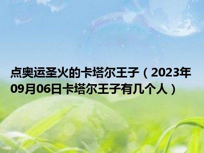 点奥运圣火的卡塔尔王子（2023年09月06日卡塔尔王子有几个人）