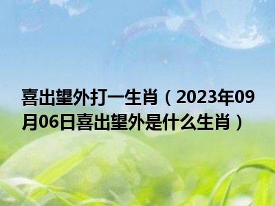 喜出望外打一生肖（2023年09月06日喜出望外是什么生肖）