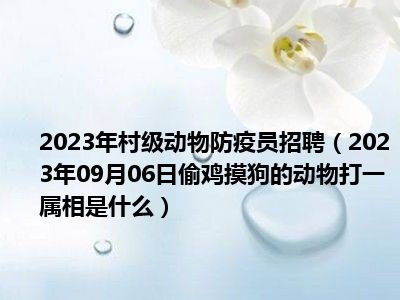 2023年村级动物防疫员招聘（2023年09月06日偷鸡摸狗的动物打一属相是什么）