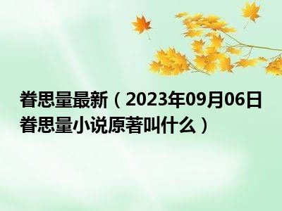 眷思量最新（2023年09月06日眷思量小说原著叫什么）