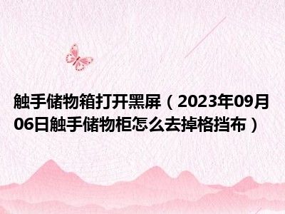 触手储物箱打开黑屏（2023年09月06日触手储物柜怎么去掉格挡布）