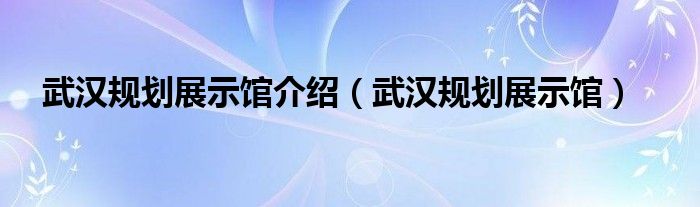  武汉规划展示馆介绍（武汉规划展示馆）