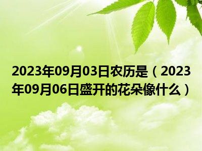 2023年09月03日农历是（2023年09月06日盛开的花朵像什么）