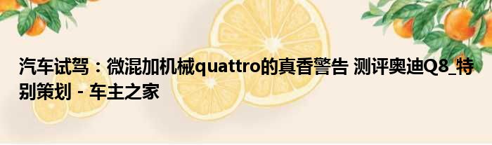 汽车试驾：微混加机械quattro的真香警告 测评奥迪Q8 特别策划 - 车主之家