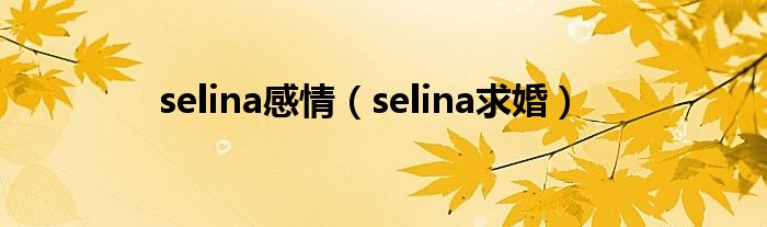  selina感情（selina求婚）