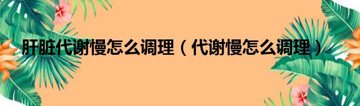 肝脏代谢慢怎么调理（代谢慢怎么调理）