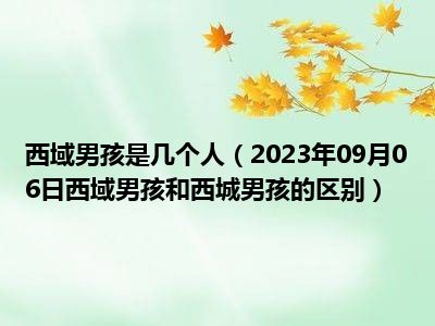 西域男孩是几个人（2023年09月06日西域男孩和西城男孩的区别）