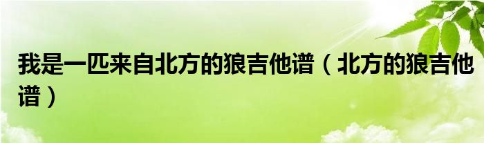  我是一匹来自北方的狼吉他谱（北方的狼吉他谱）