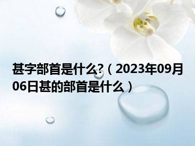 甚字部首是什么 （2023年09月06日甚的部首是什么）