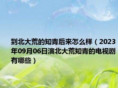 到北大荒的知青后来怎么样（2023年09月06日演北大荒知青的电视剧有哪些）