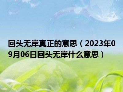 回头无岸真正的意思（2023年09月06日回头无岸什么意思）