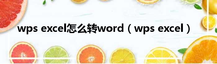 wps excel怎么转word（wps excel）