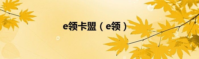  e领卡盟（e领）