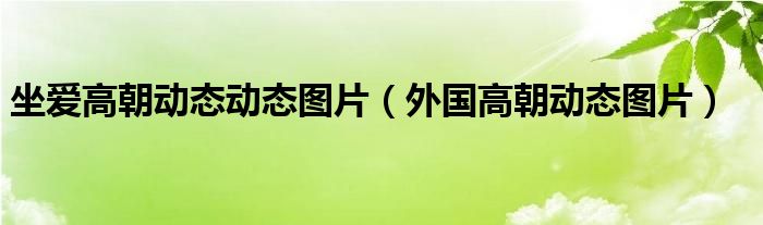  坐爱高朝动态动态图片（外国高朝动态图片）