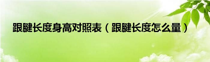  跟腱长度身高对照表（跟腱长度怎么量）